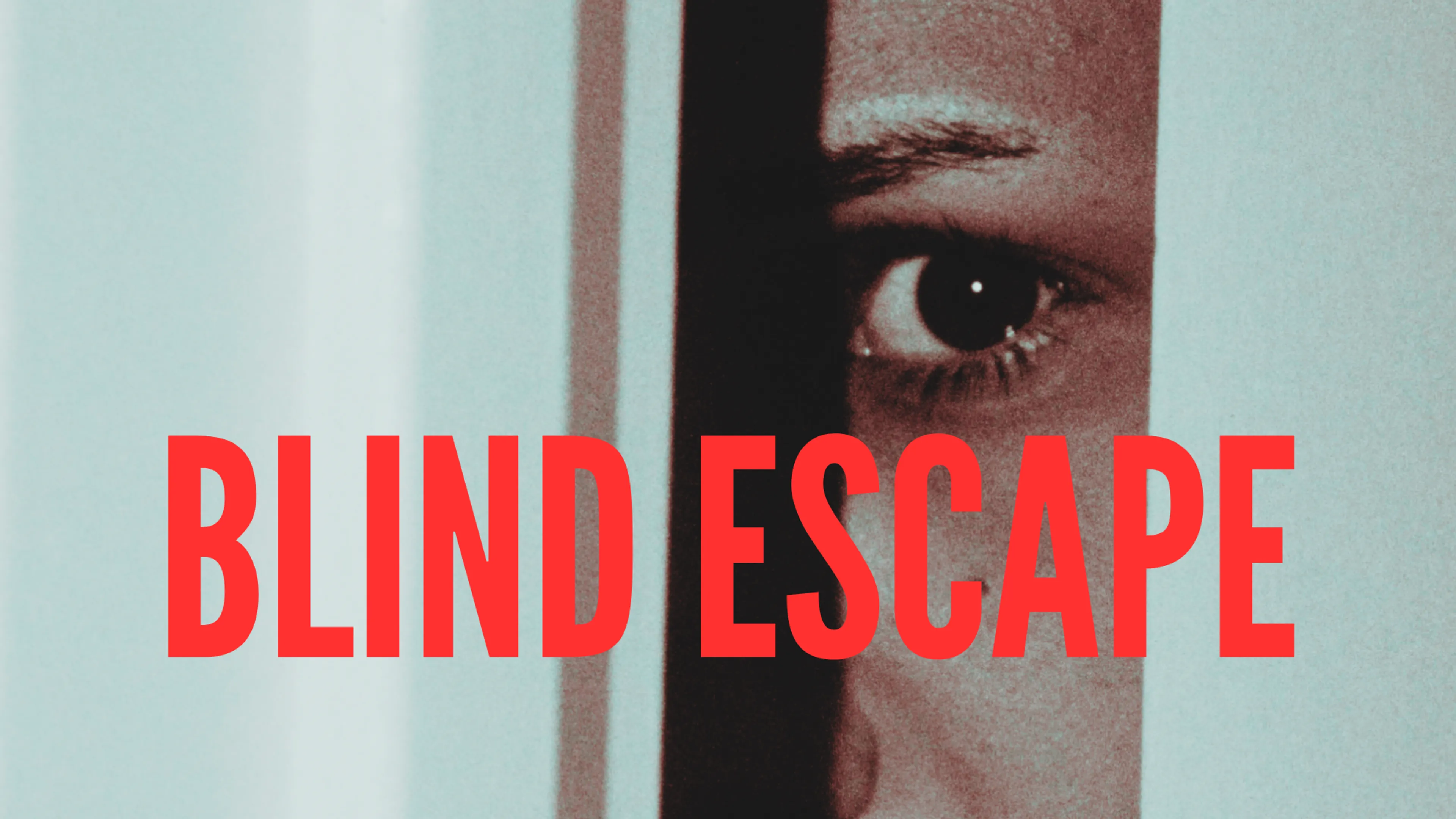 Blind Escape poster